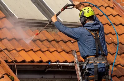 Démoussage et hydrofuge de toiture à Lucey